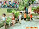 160120goc_thien_nhien_copy_500 - 160120goc_thien_nhien_copy_500.jpg